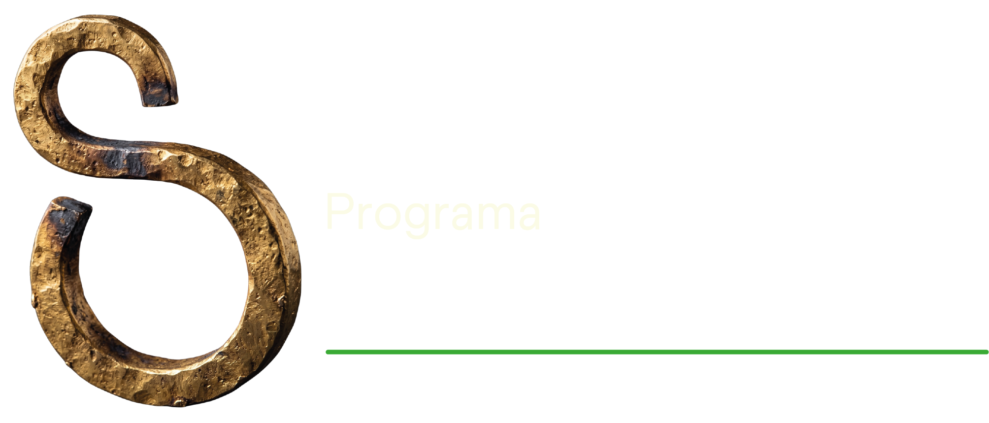 Programa Momentum